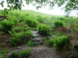 The path soon degrades into a grassy climb