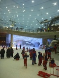 Snow! at the Ski Dubai