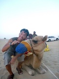 Omftfg Camels?
