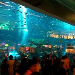 the world's largest indoor aquarium