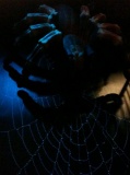 The creepy crawly section of the zoo!