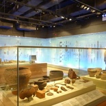 the exhibits in the museum
