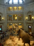 just like night of the museum