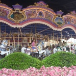  Cinderella's Golden Carrousel