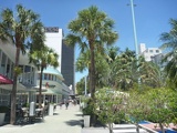 F&amp;amp;B outlets along Lincoln Road