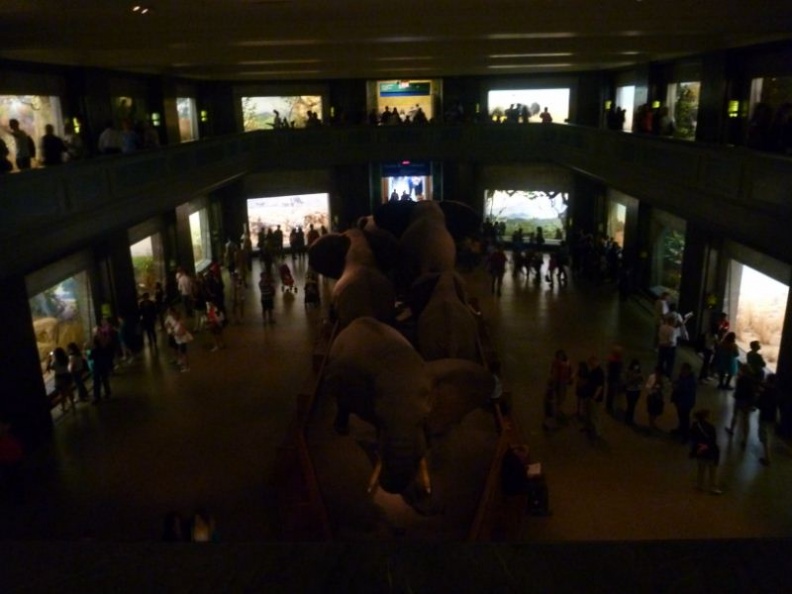 yup, Night at the museum