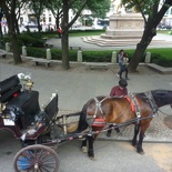 With horse carriages to boot