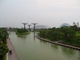 Bridge over the Dragon fly pond