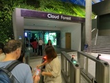 the cloud forest!