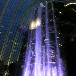 Gardens By The Bay