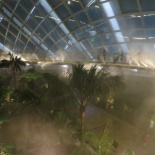 The conservatory is misted hourly