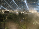 The conservatory is misted hourly
