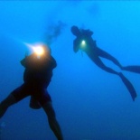 Dayang scuba gilldivers 2015 44