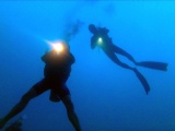 Dayang scuba gilldivers 2015 44
