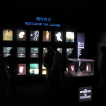 The Deep Exhibition 30