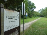HSBC Tree top Walk at Macritchie Singapore