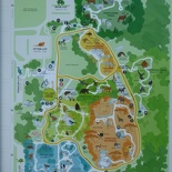 woodland park zoo seattle 05