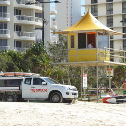 Gold Coast City