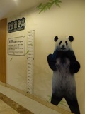 chengdu panda research 118