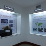 chengdu panda research 120
