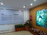 chengdu panda research 128