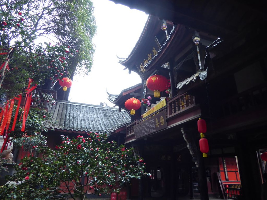 mt qingcheng 081