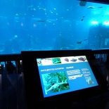 SEA-aquarium-sentosa-046