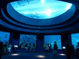 SEA-aquarium-sentosa-122