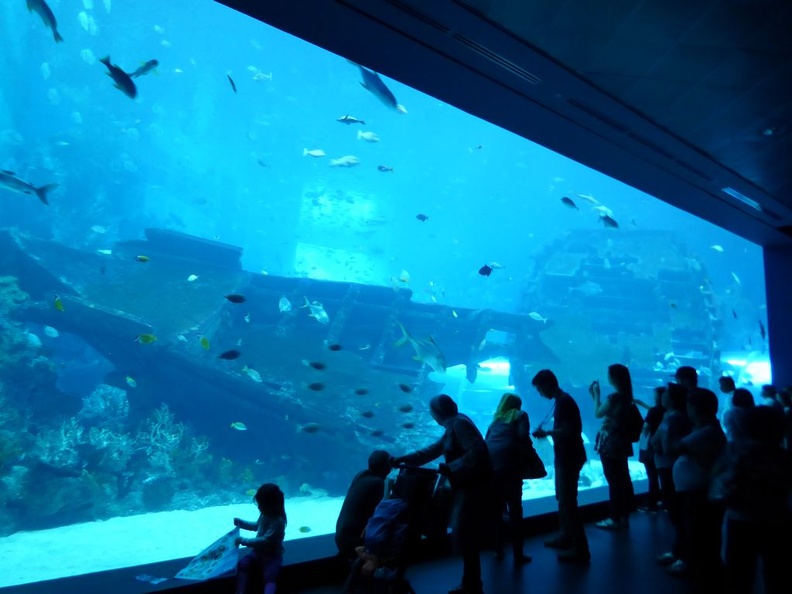 SEA-aquarium-sentosa-002.jpg