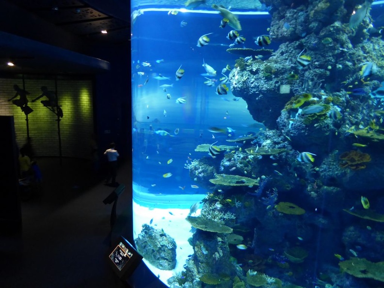SEA-aquarium-sentosa-020.jpg