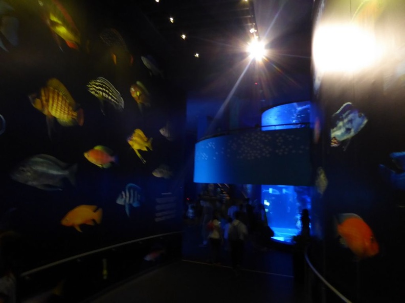 SEA-aquarium-sentosa-023.jpg