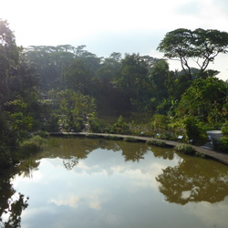 Botanical Gardens Learning Forest