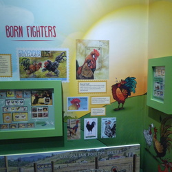 Philatelic Museum Chicken Fowl Tale