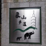 taiwan-elephant-hill-25