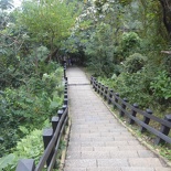 taiwan-elephant-hill-23