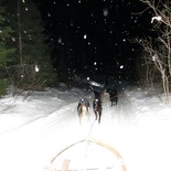 norway-tromso-husky-sledding-022