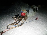 norway-tromso-husky-sledding-011