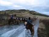 iceland-horse-ride-049