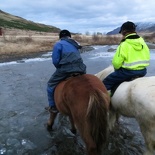 iceland-horse-ride-053