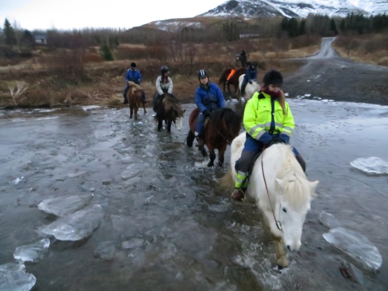 iceland-horse-ride-055.jpg