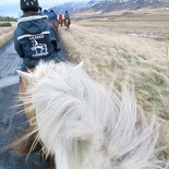 iceland-horse-ride-059
