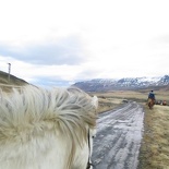 iceland-horse-ride-067