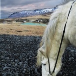 iceland-horse-ride-070
