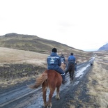 iceland-horse-ride-072