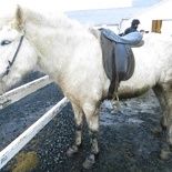 iceland-horse-ride-077