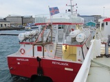 iceland-whale-watching-016