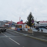 iceland-whale-watching-021