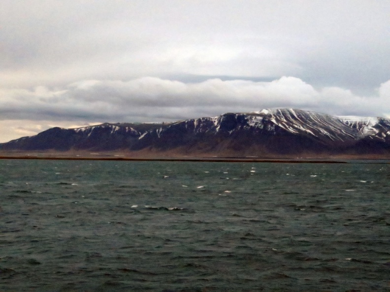 iceland-whale-watching-035.jpg