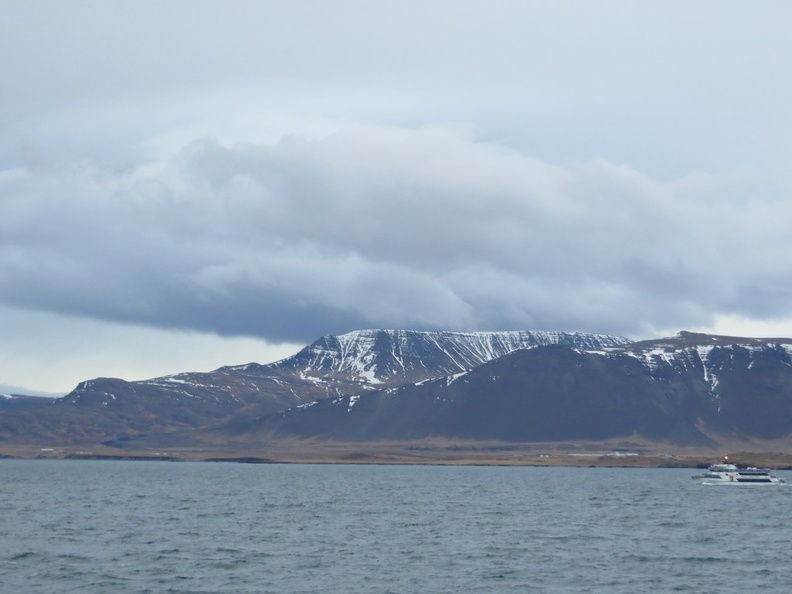 iceland-whale-watching-041