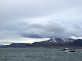 iceland-whale-watching-042